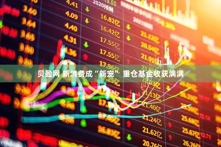 贝盈网 新消费成“新宠” 重仓基金收获满满