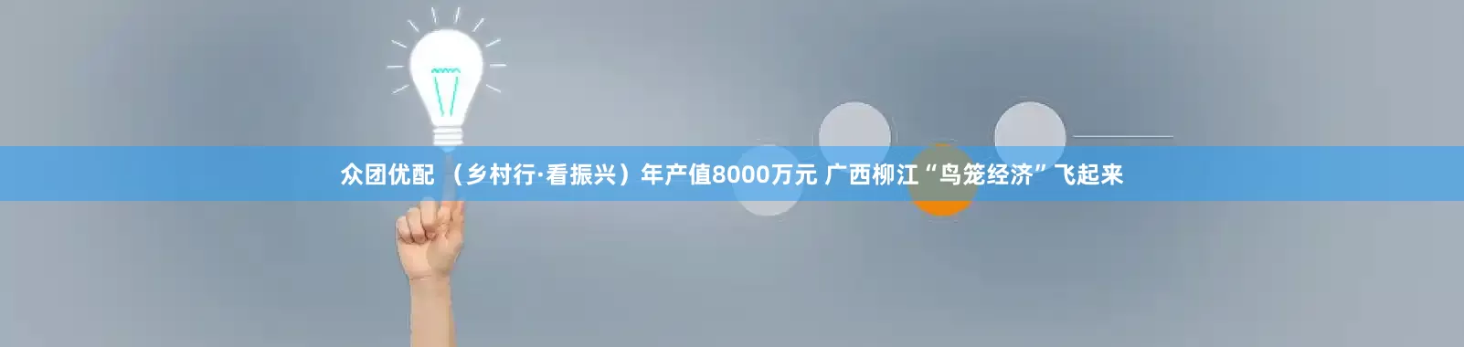 众团优配 （乡村行·看振兴）年产值8000万元 广西柳江“鸟笼经济”飞起来