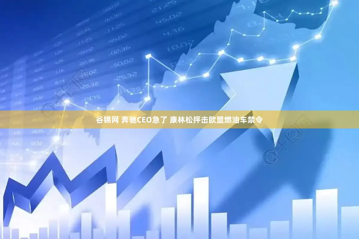 谷锦网 奔驰CEO急了 康林松抨击欧盟燃油车禁令