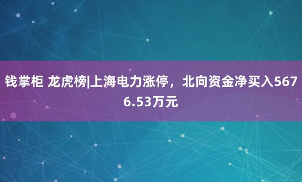 钱掌柜 龙虎榜|上海电力涨停，北向资金净买入5676.53万元