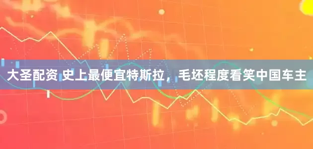 大圣配资 史上最便宜特斯拉，毛坯程度看笑中国车主